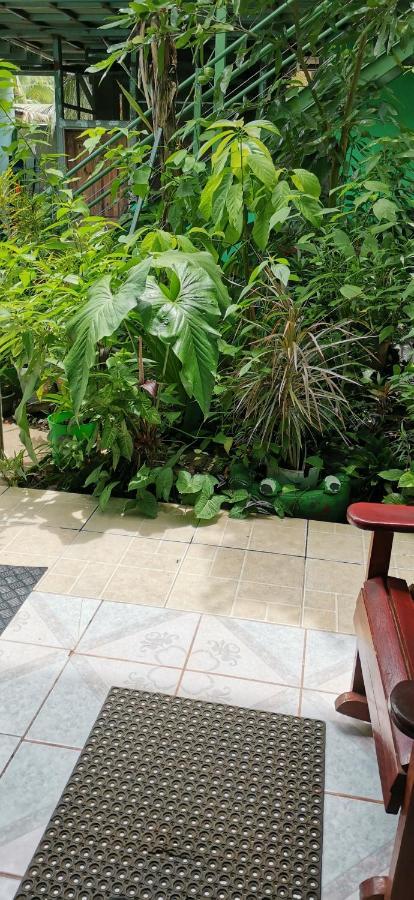 Cabinas Mitchaelle'S Puerto Viejo de Talamanca Екстер'єр фото