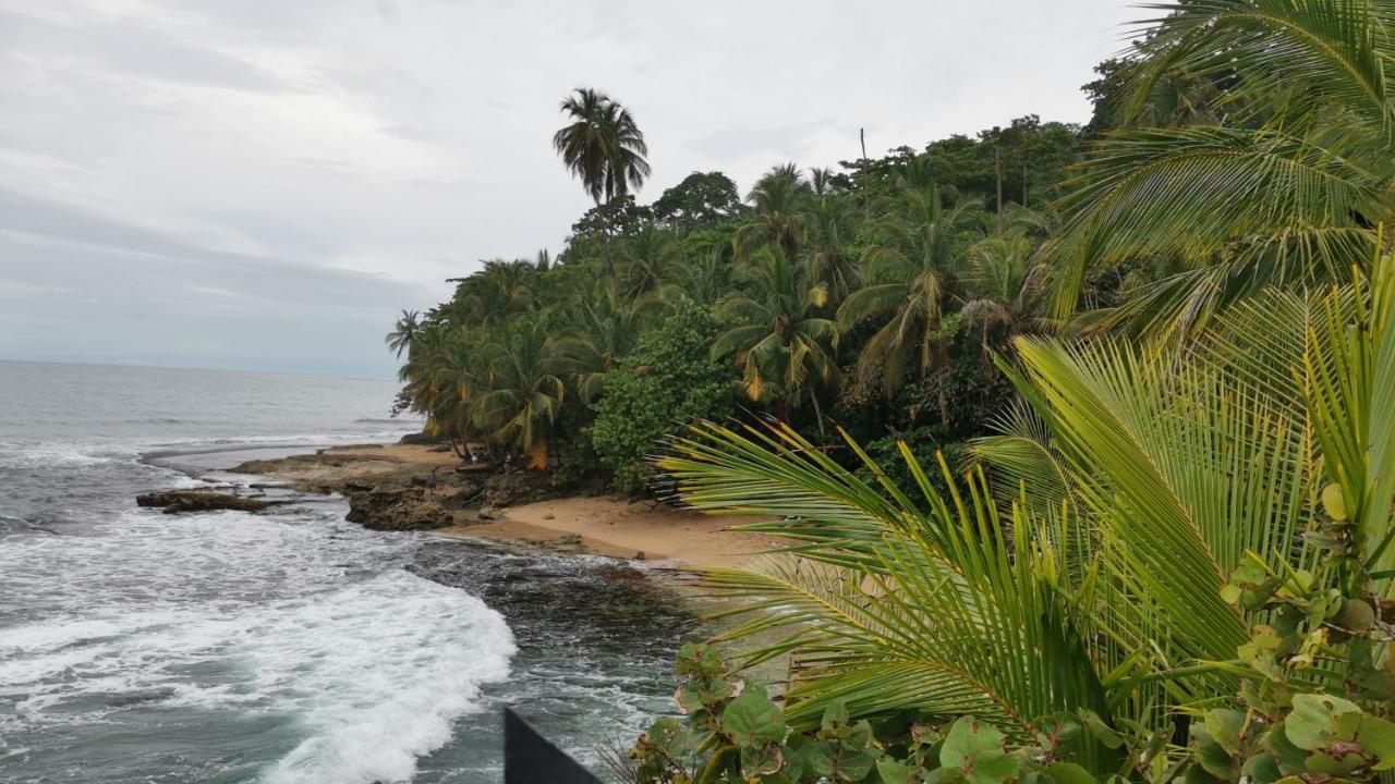 Cabinas Mitchaelle'S Puerto Viejo de Talamanca Екстер'єр фото