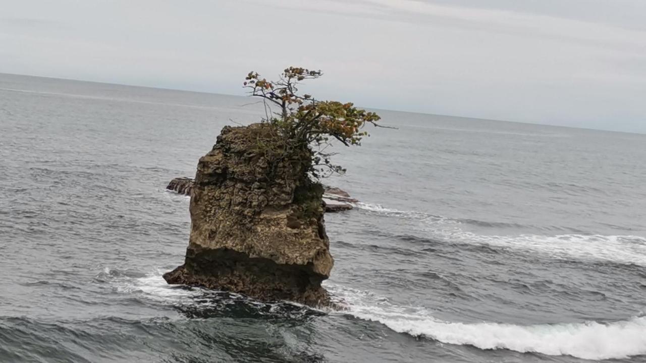 Cabinas Mitchaelle'S Puerto Viejo de Talamanca Екстер'єр фото