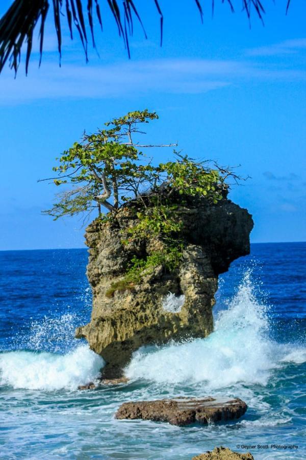 Cabinas Mitchaelle'S Puerto Viejo de Talamanca Екстер'єр фото