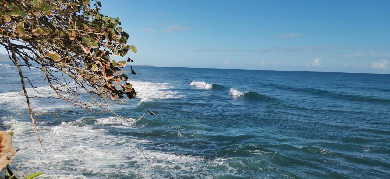 Cabinas Mitchaelle'S Puerto Viejo de Talamanca Екстер'єр фото